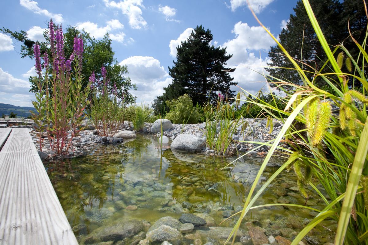 HS Gartenbau GmbH Hofer & Steiner Gartenbepflanzung