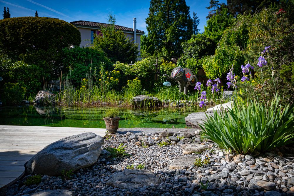 HS Gartenbau GmbH Hofer & Steiner - Rund ums Wasser