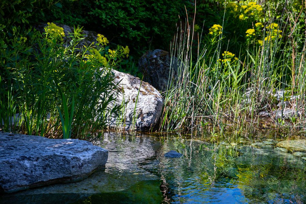 HS Gartenbau GmbH Hofer & Steiner - Rund ums Wasser