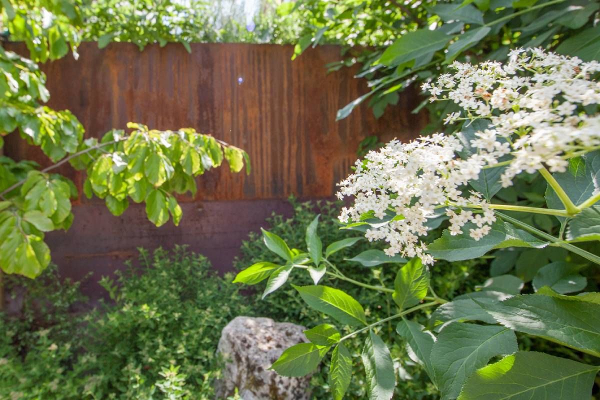 HS Gartenbau GmbH Hofer & Steiner Sichtschutz im Garten