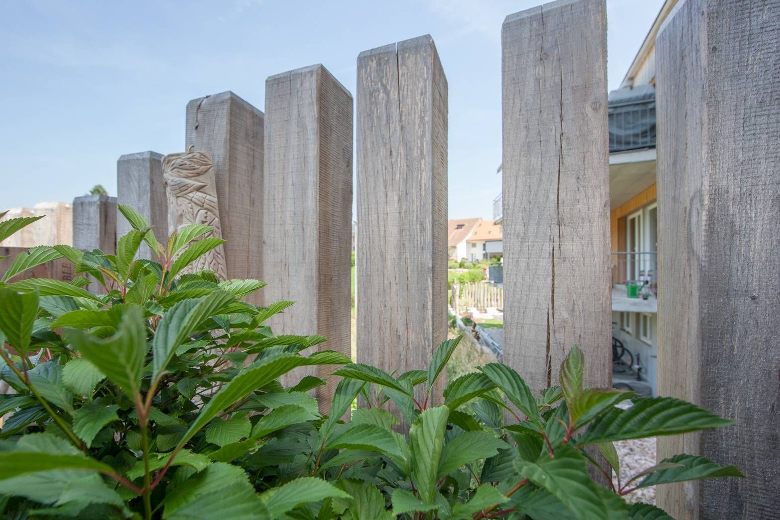 HS Gartenbau GmbH Hofer & Steiner Sichtschutz im Garten