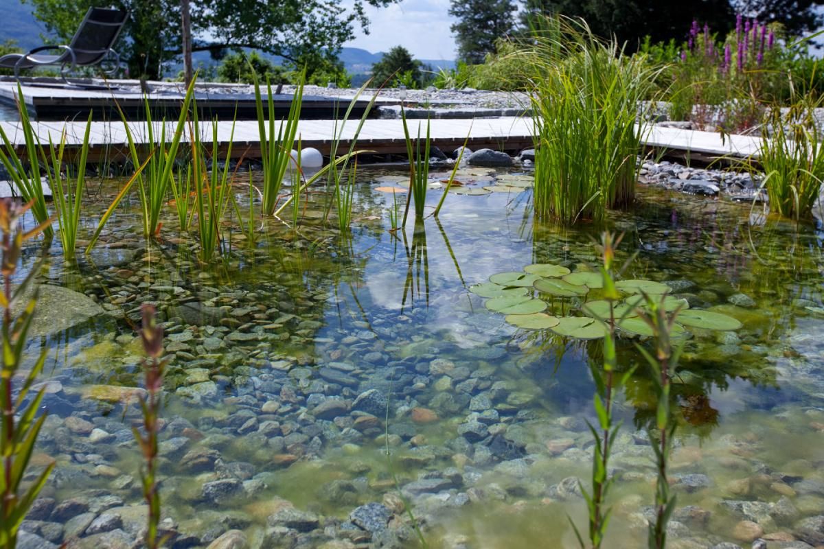 HS Gartenbau GmbH Hofer & Steiner Gartenteich