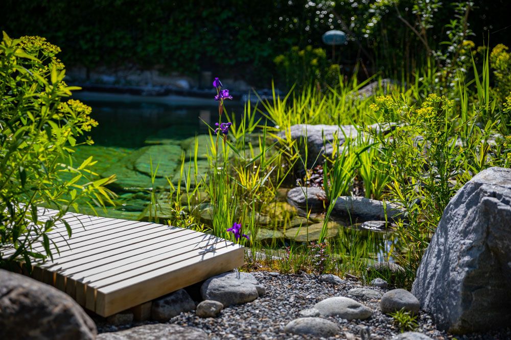 HS Gartenbau GmbH Hofer & Steiner - Rund ums Wasser