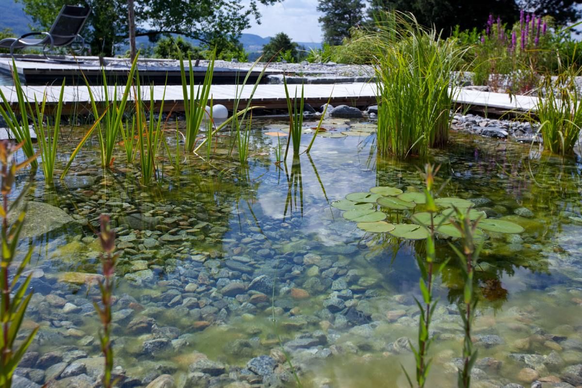 HS Gartenbau GmbH Hofer & Steiner Gartenbepflanzung