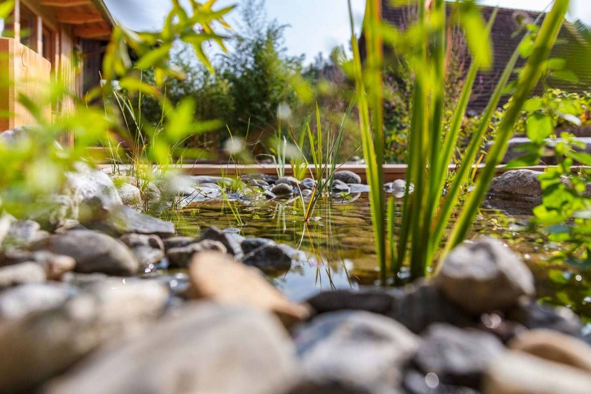 HS Gartenbau GmbH Hofer & Steiner Gartenteich