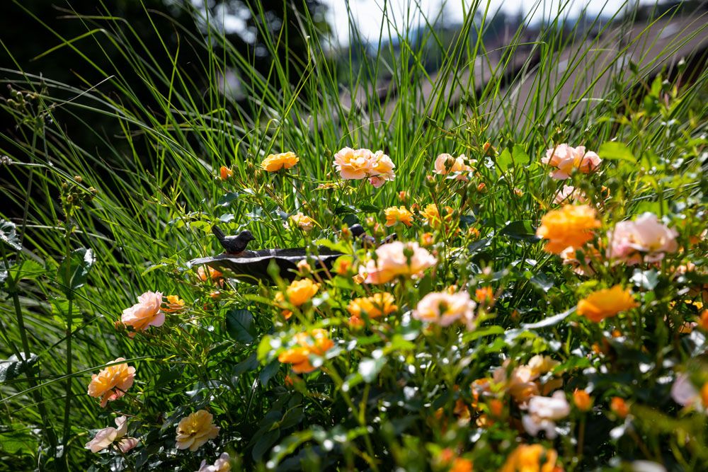 HS Gartenbau GmbH Hofer & Steiner - Begrünung